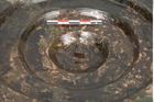 Foto von Bronzephalere (NHMW-PRAE-025563)